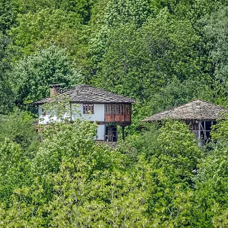 Tatil Evi Incredible Getaway With Indoor And Outdoor Fireplaces In Selishte, Bulgaria