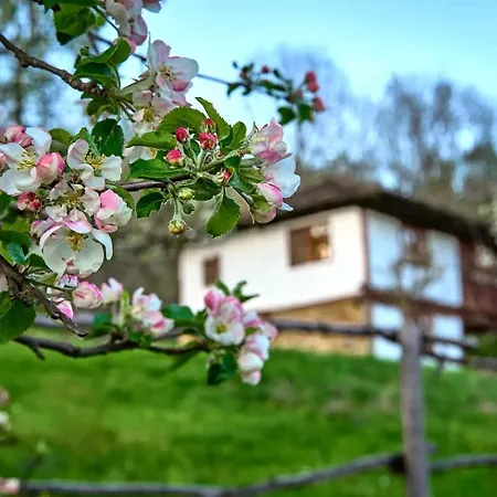 Incredible Getaway With Indoor And Outdoor Fireplaces In Selishte, Bulgaria Tatil Evi