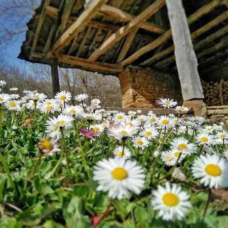 Incredible Getaway With Indoor And Outdoor Fireplaces In Selishte, Bulgaria Selishte (Gabrovo)