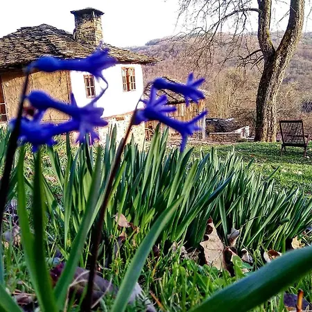 Incredible Getaway With Indoor And Outdoor Fireplaces In Selishte, Bulgaria Tatil Evi *