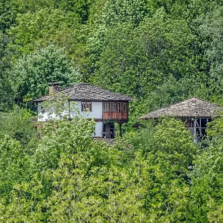 Incredible Getaway With Indoor And Outdoor Fireplaces In Selishte, Bulgaria Selishte (Gabrovo)