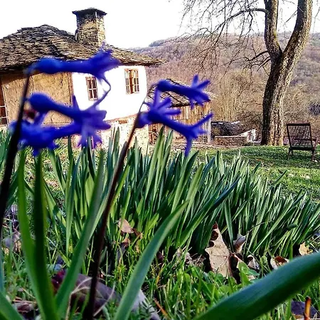 Incredible Getaway With Indoor And Outdoor Fireplaces In Selishte, Bulgaria Selishte (Gabrovo)